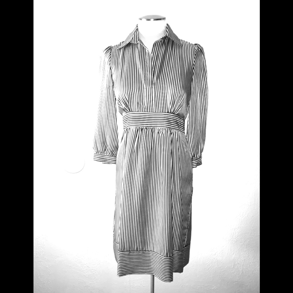 Bcbg MaxAzria Shirt dress